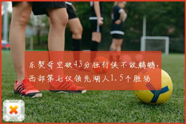 东契奇空砍43分独行侠不敌鹈鹕，西部第七仅领先湖人1.5个胜场